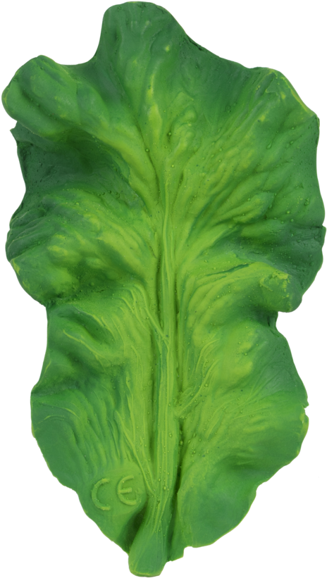 Oli & Carol Kendall The Kale - Feuille De Chou (1024x1024), Png Download