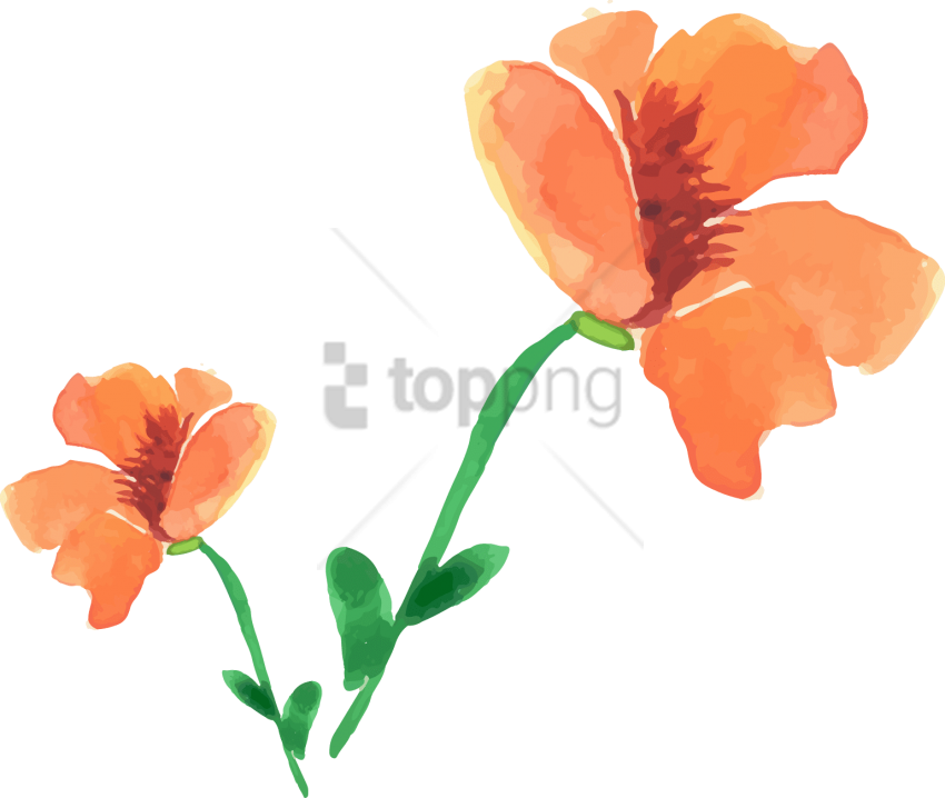 Free Png Download Watercolor Painting Png Images Background - Artificial Flower (850x718), Png Download