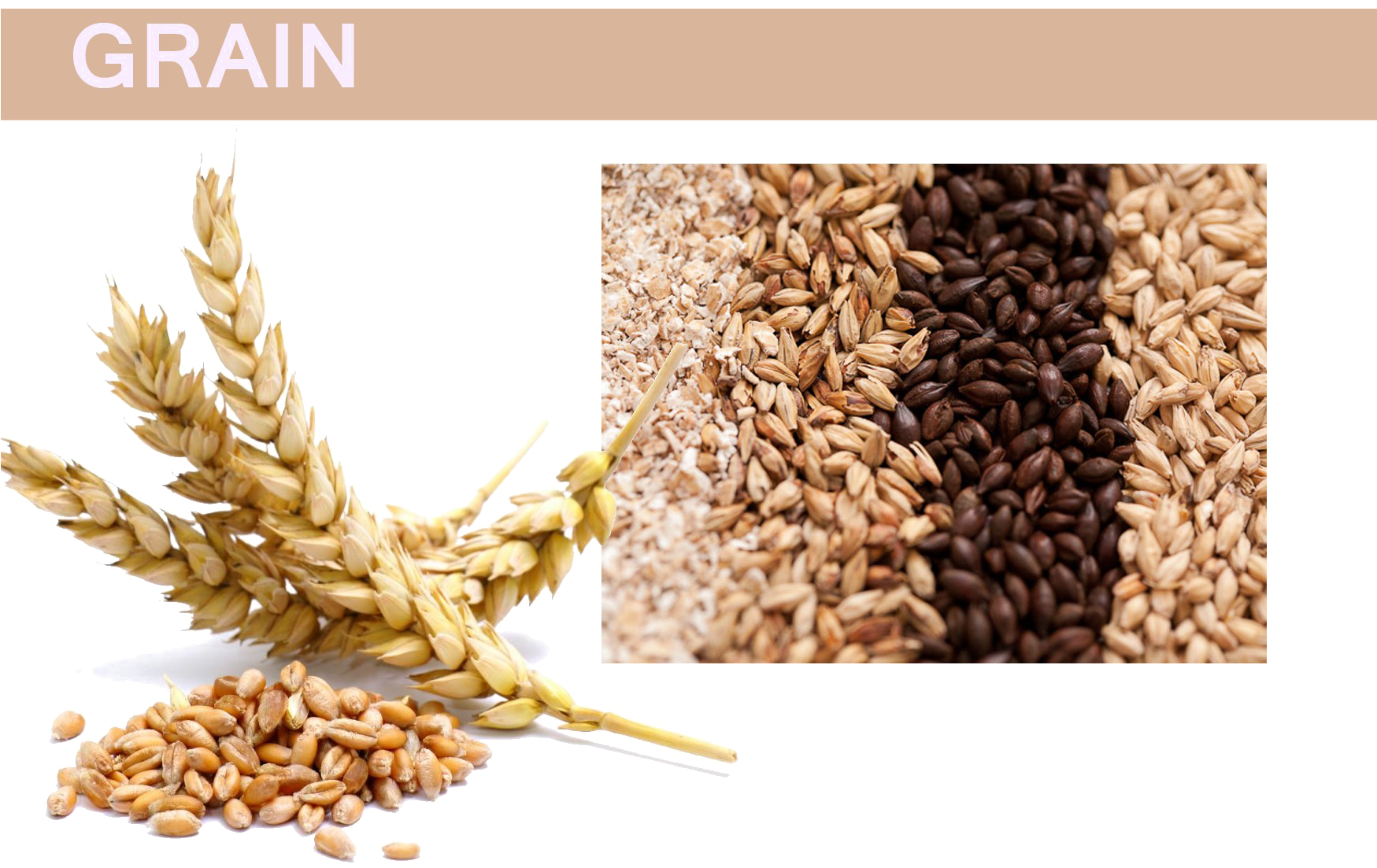 Grain Png Pic - Flour Made (1748x1181), Png Download
