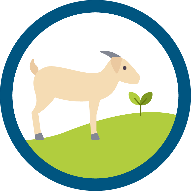 Tapestry Expeditionary Learning Icon (770x770), Png Download