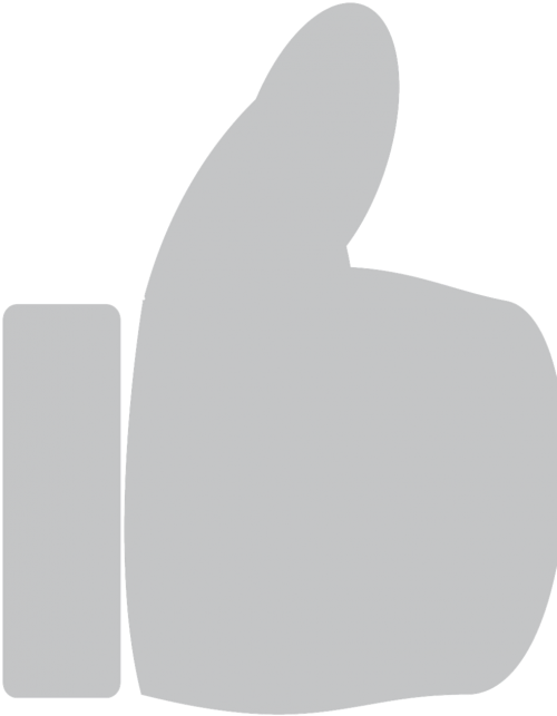 Thumbs Up,icon,like,hand - Like Grey Icon Png (500x651), Png Download