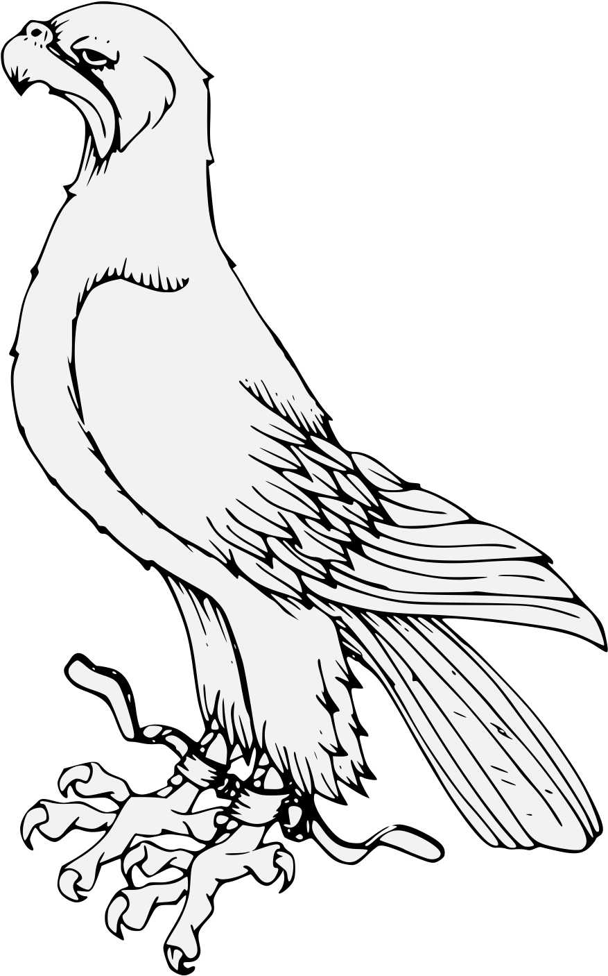 Details, Png, Svg - Osprey (918x1443), Png Download