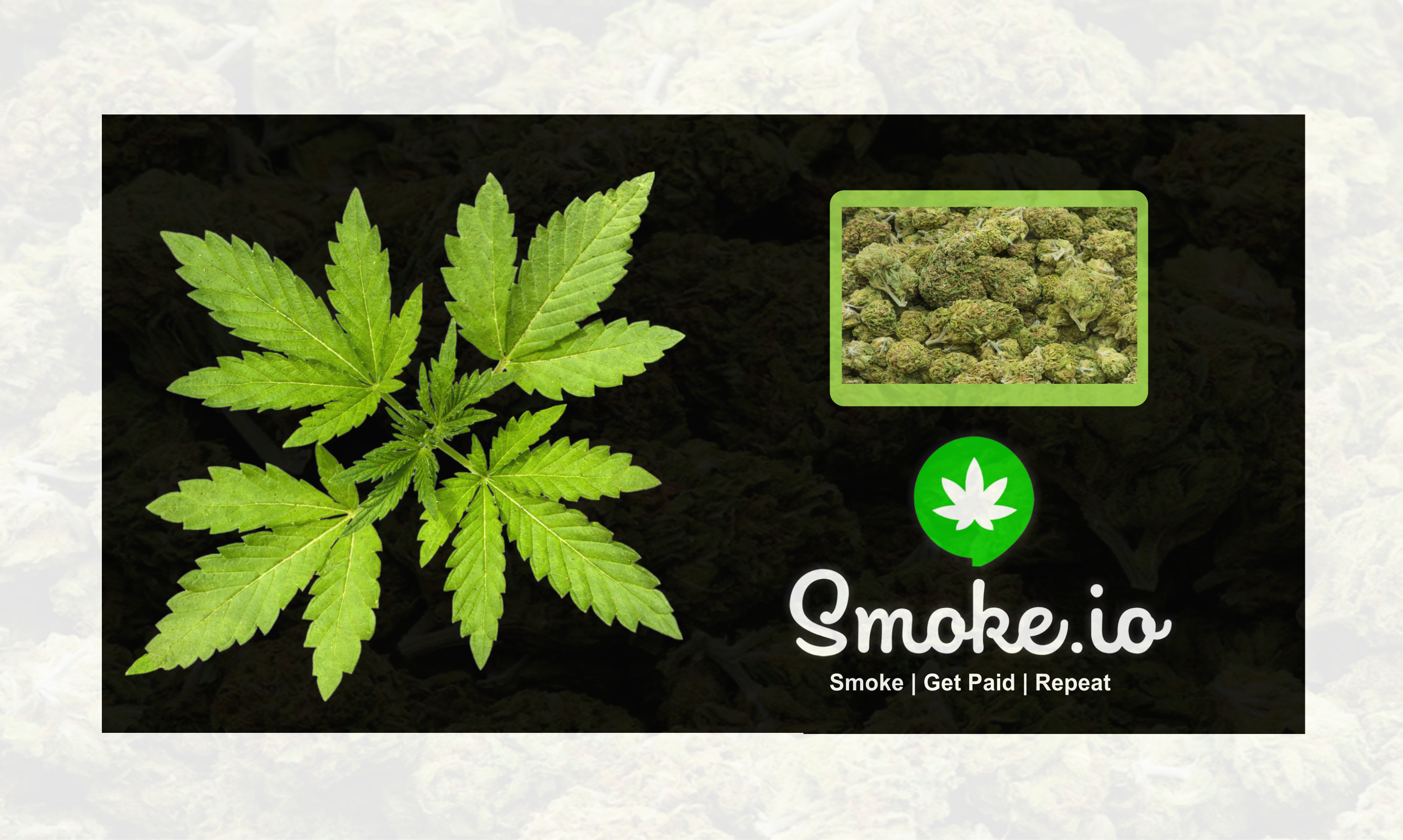 T13 - Maple Leaf (2672x1600), Png Download