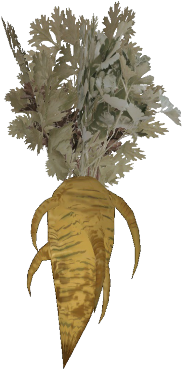 The Vault Fallout Wiki - Fallout 4 Carrot (1200x904), Png Download