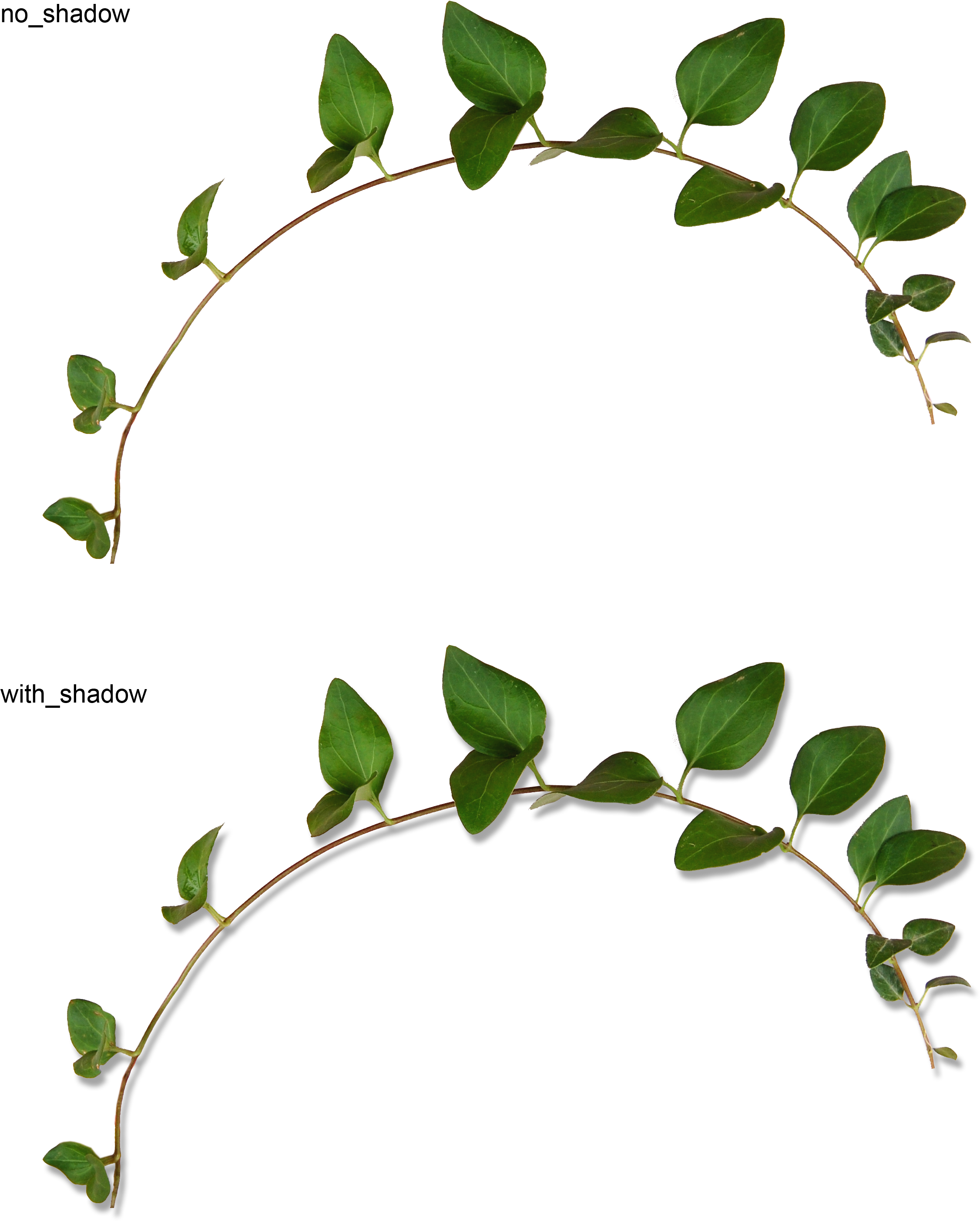 Abf A Be F Orig Flora - Вьюн Пнг (2500x3000), Png Download