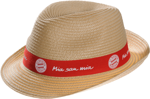 Straw Hat - Fedora (660x660), Png Download