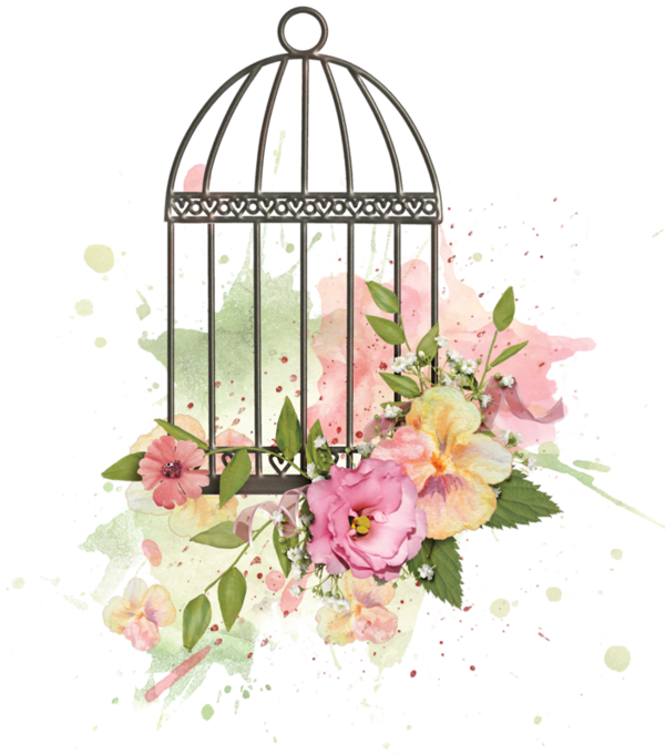 Dibujos De Jaulas Con Flores (600x680), Png Download