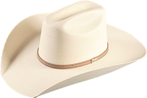 Cowboy Hat (1000x664), Png Download