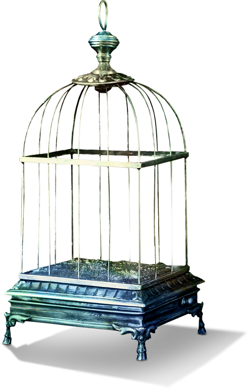 Tubes Bird Cage Png (500x783), Png Download