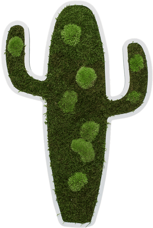Cactus Pictogram 60 Cm - Moss (500x730), Png Download