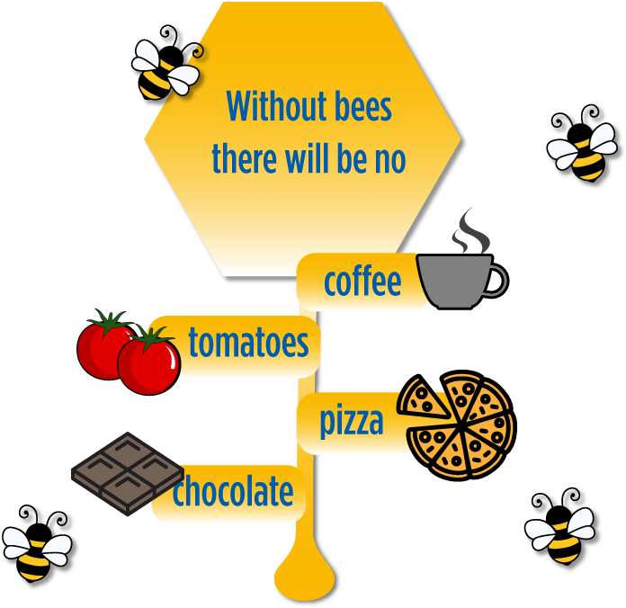 So, Without Bees There's No - New Haven Reads (802x693), Png Download