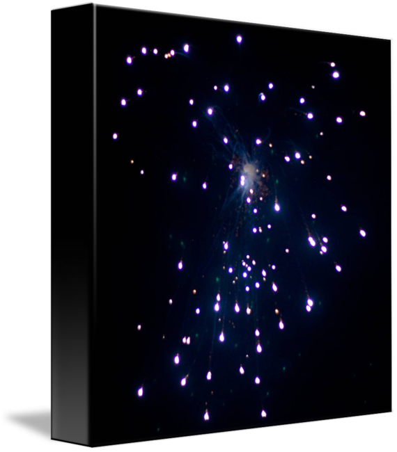 570 X 650 0 - Star (570x650), Png Download