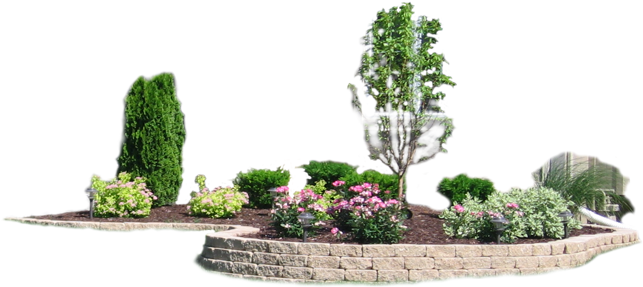 Expand Your Outdoor Living Space - Bonsai (1920x745), Png Download