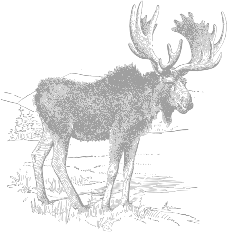 Moose - Sketch (782x800), Png Download