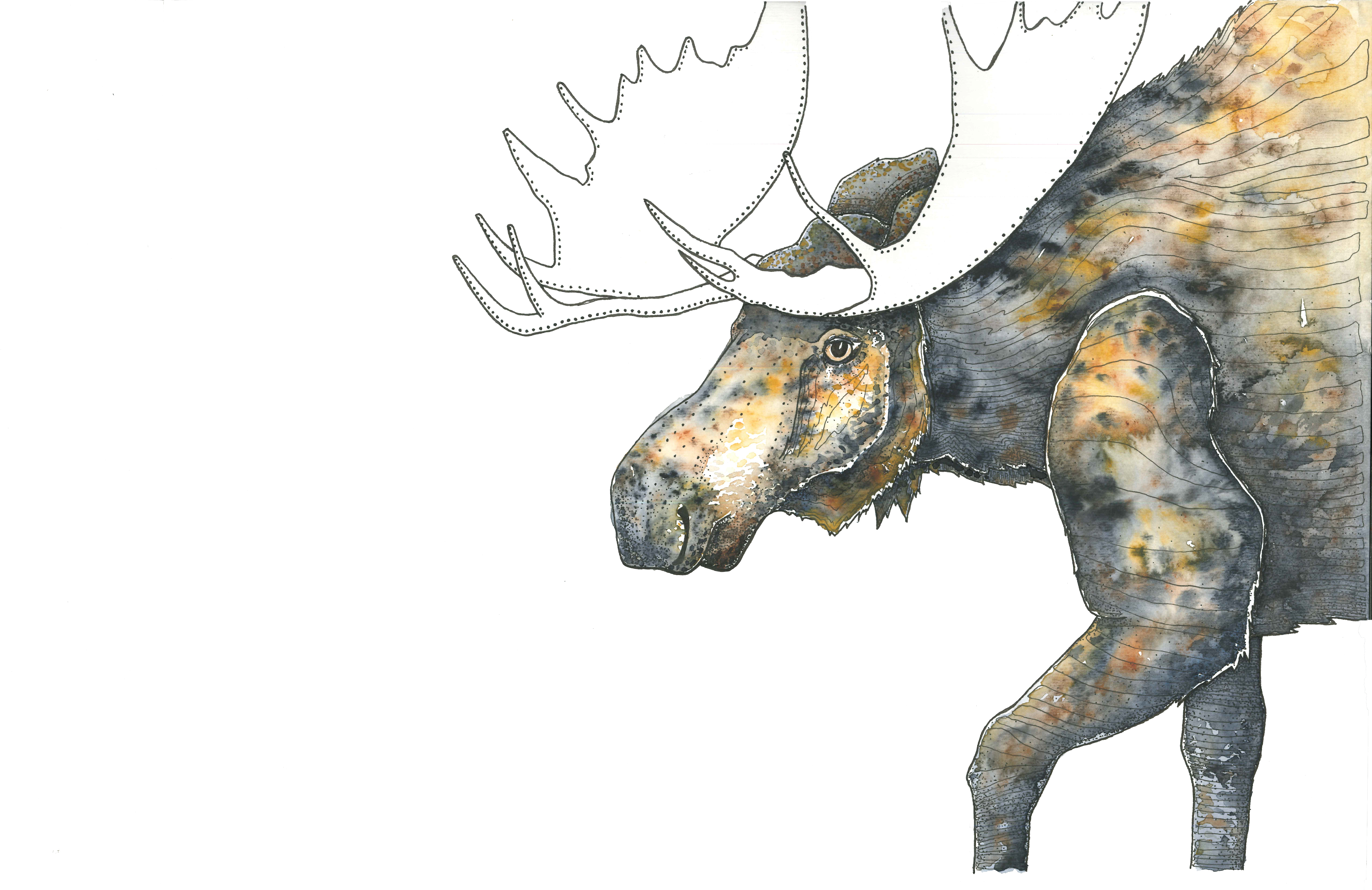 Illustration (5100x3300), Png Download