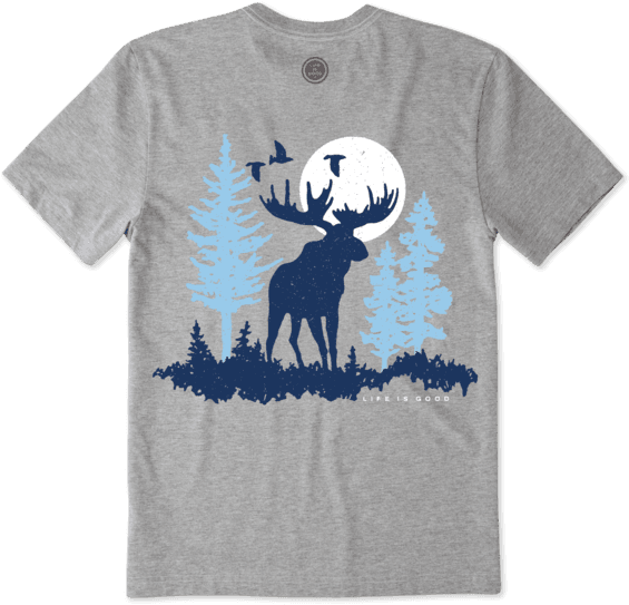 Images - Reindeer (570x570), Png Download