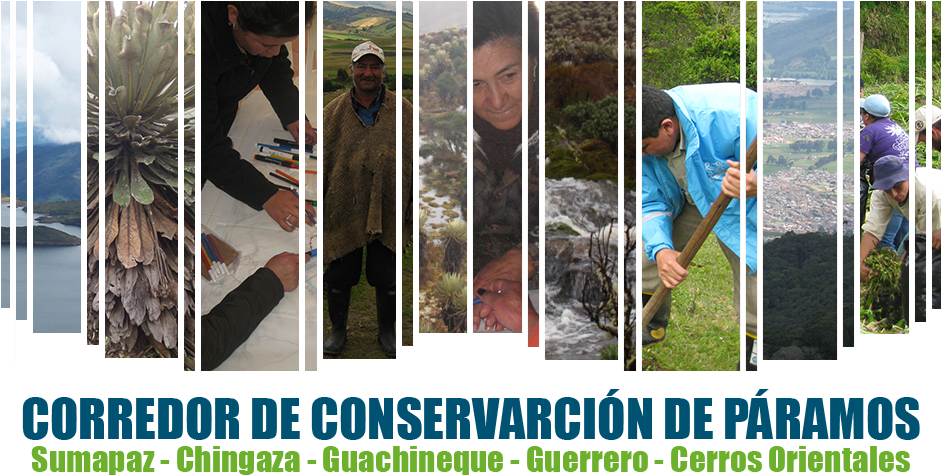 Main Banner Home - Creditos (960x475), Png Download