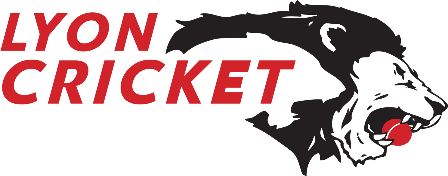 Cricket Batsman Vector - Illustration (1500x584), Png Download