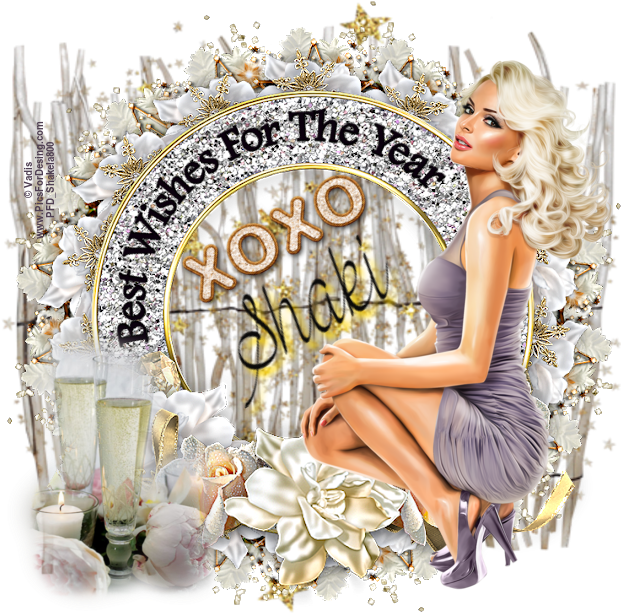 Glitter Text » Personal » Best Wishes New Year ~ Shaki - Gardenia (620x620), Png Download