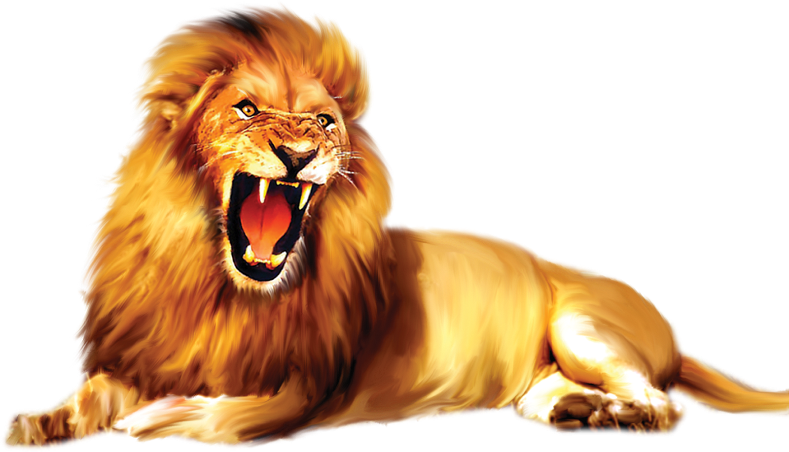 Lion Png Images - Masai Lion (1600x918), Png Download