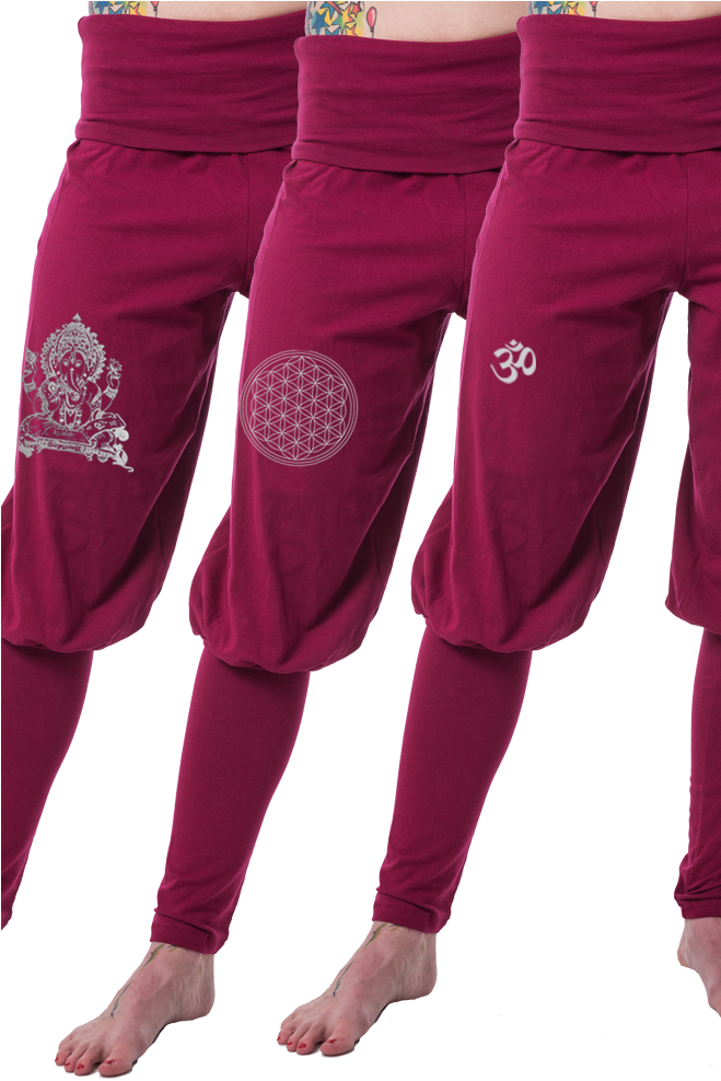 Solid Colors With Ganesha - Harlekin Hose Herren (658x1000), Png Download