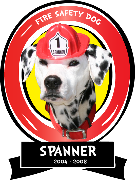 Found On The Side Of The Road In The Tulsa Area, Spanner - Dalmatian (533x711), Png Download