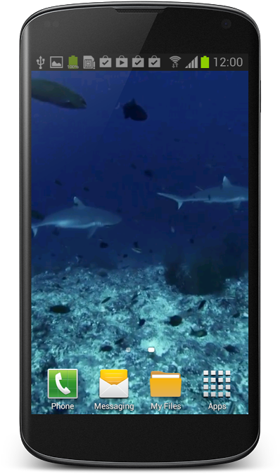 Free Download Video Wallpaper For Android Mobile - Samsung Galaxy (480x800), Png Download