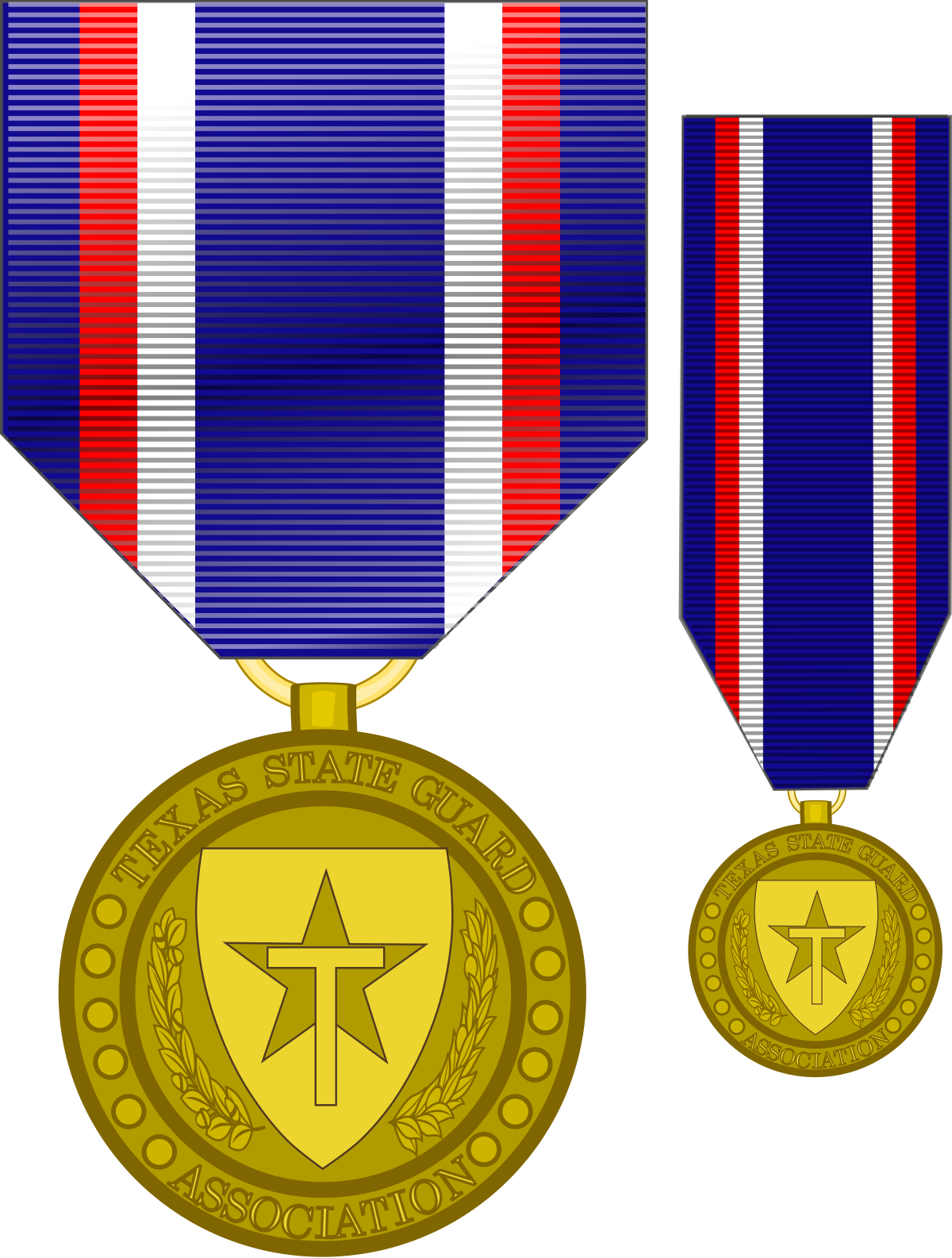 Former Texas State Guard Association Medal - Texas National Guard Medals (1200x1586), Png Download