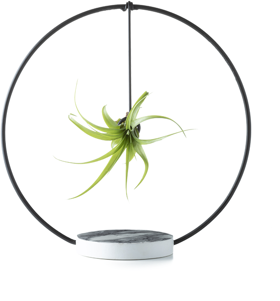 Eclipse - Circle (769x769), Png Download