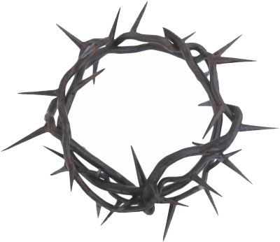 Crown Of Thorns Png (820x425), Png Download