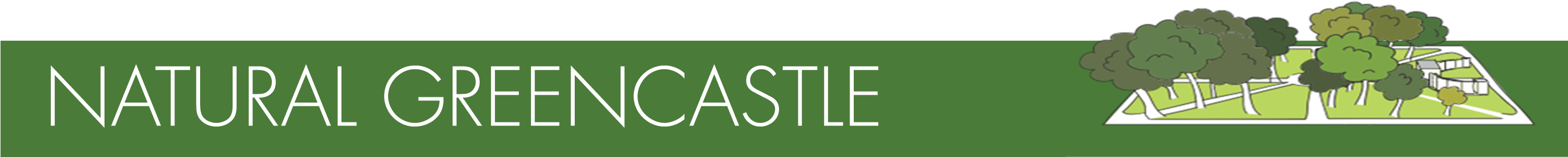 Increasingly Pressed To Prove Our Societal Value, Pursuing - Tree (3000x1448), Png Download