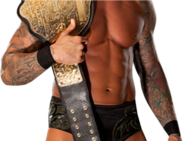 Randy Orton Clipart Png - Wwe Money In The Bank 2011 Match Cards (640x480), Png Download
