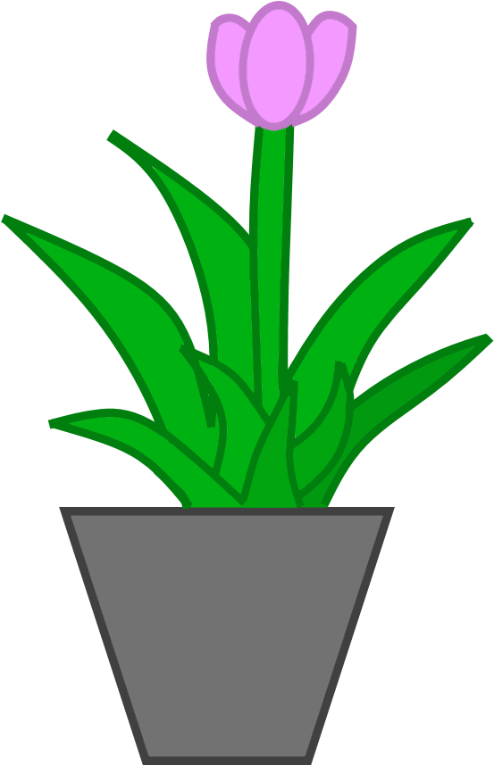 Potted Plant Png - Flowerpot (700x1000), Png Download