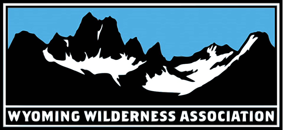 1200 X 553 2 - Wyoming Wilderness Association (1200x553), Png Download
