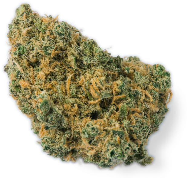 Pacific Juniper - Gorilla Glue Strain 2 (644x775), Png Download