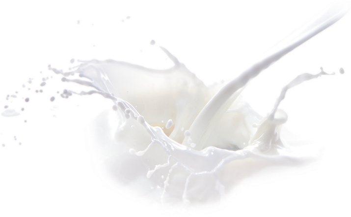 Feel Better Fast - Macro Photography (714x476), Png Download