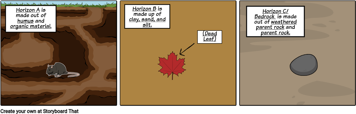 Soil - Maple Leaf (1165x386), Png Download