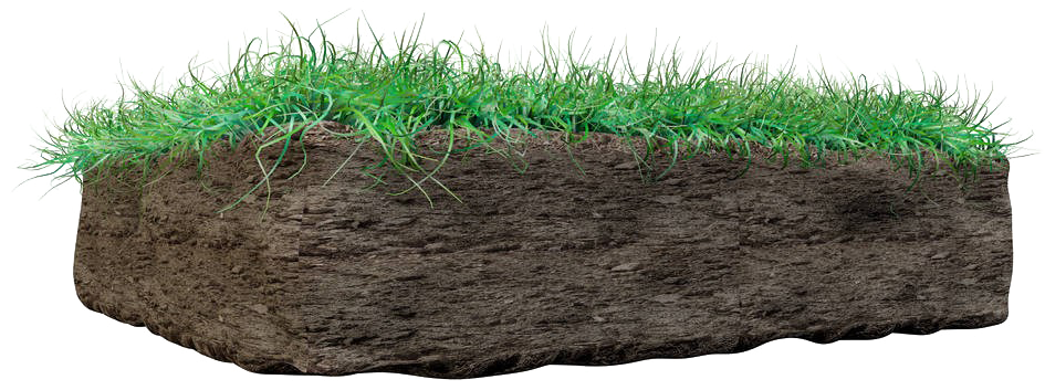 Soil Png - Lawn (1000x750), Png Download