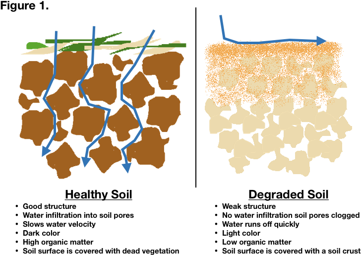 Have Community Consciousness Making Both Our Plant - Pattern (791x546), Png Download