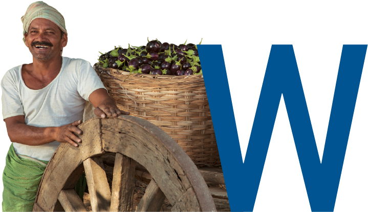 To Transform The Agri-products Supply Chain - Plantation (725x433), Png Download