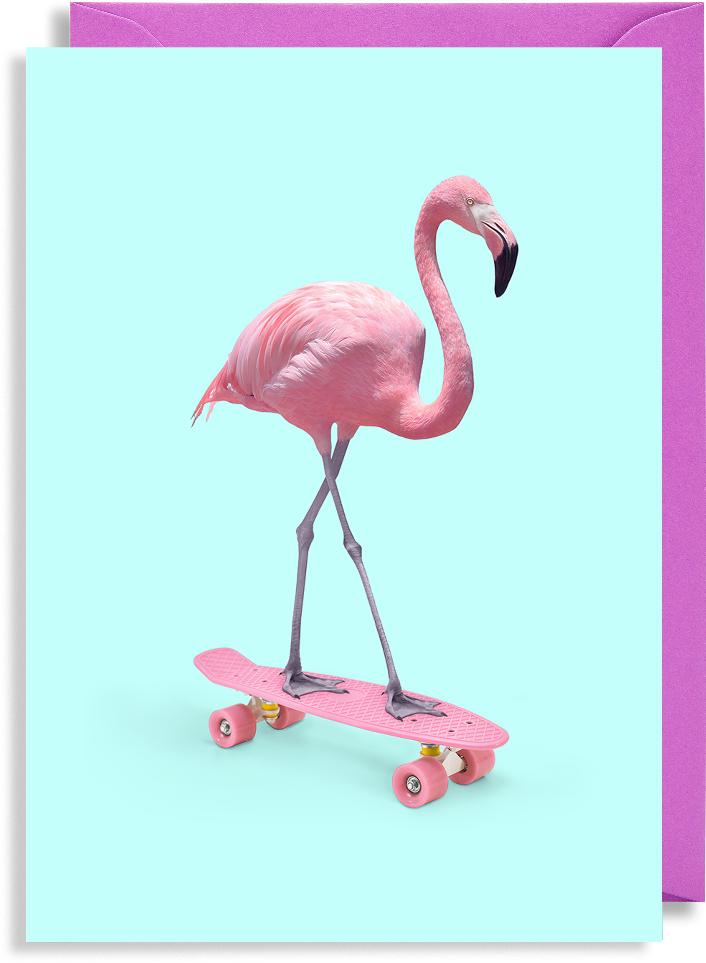 3504 X 3753 3 - Skate Flamingo (3504x3753), Png Download
