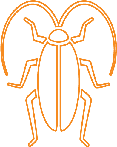 Cockroach - Weevil (595x594), Png Download