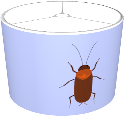 Cockroach - Beetle (674x516), Png Download