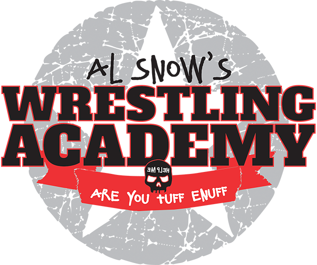 Al Snow Wrestling Big Logo - Poster (650x544), Png Download