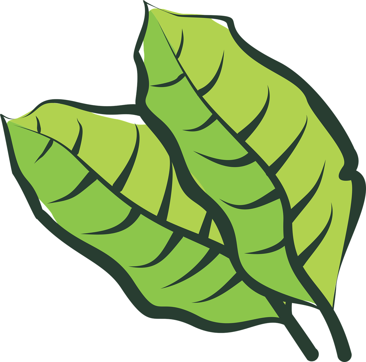 Hoja De Tabaco Png Vector (1280x1268), Png Download