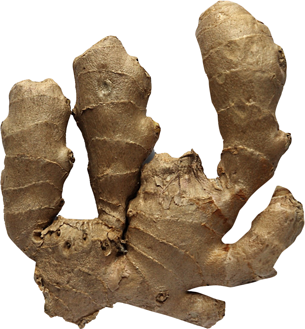 Download Ginger Png Image - Ginger (1252x1280), Png Download