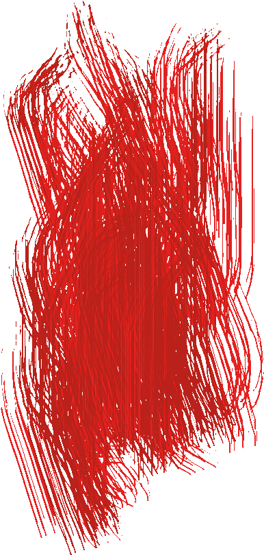 Hair Texture Dummy 224 Kb - Graphic Design (1024x1024), Png Download