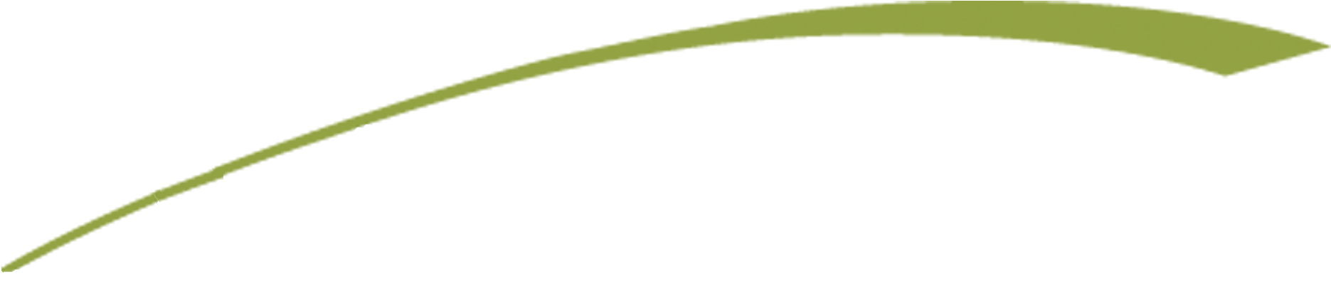 Leaf Plant Stem Close - Underline Swoosh Png (1965x449), Png Download