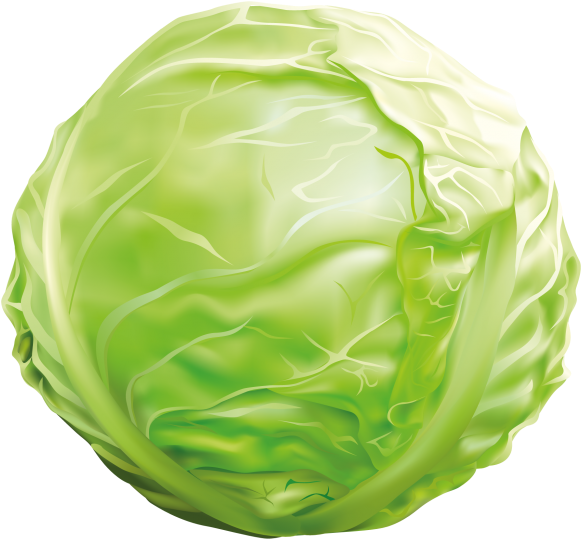 Cabbage - Дидактична Гра Учимося Варити Борщ (866x650), Png Download