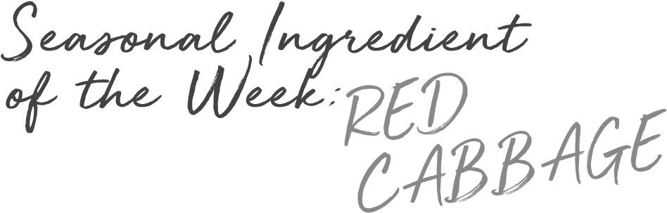 Seasonal Text Red Cabbage - Handwriting (971x337), Png Download